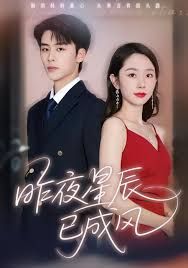 昨夜星辰已成风 全集完结(大结局)
