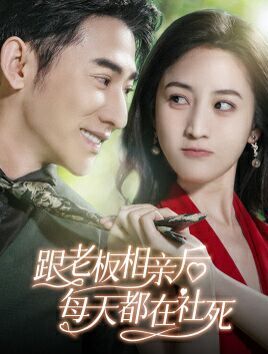 跟老板相亲后每天都在社死 第61-83集完结(大结局)