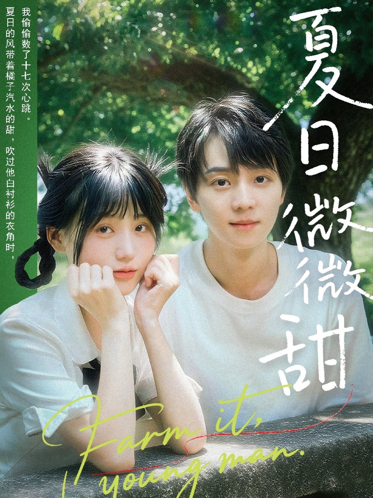 夏日微微甜 全集完结(大结局)