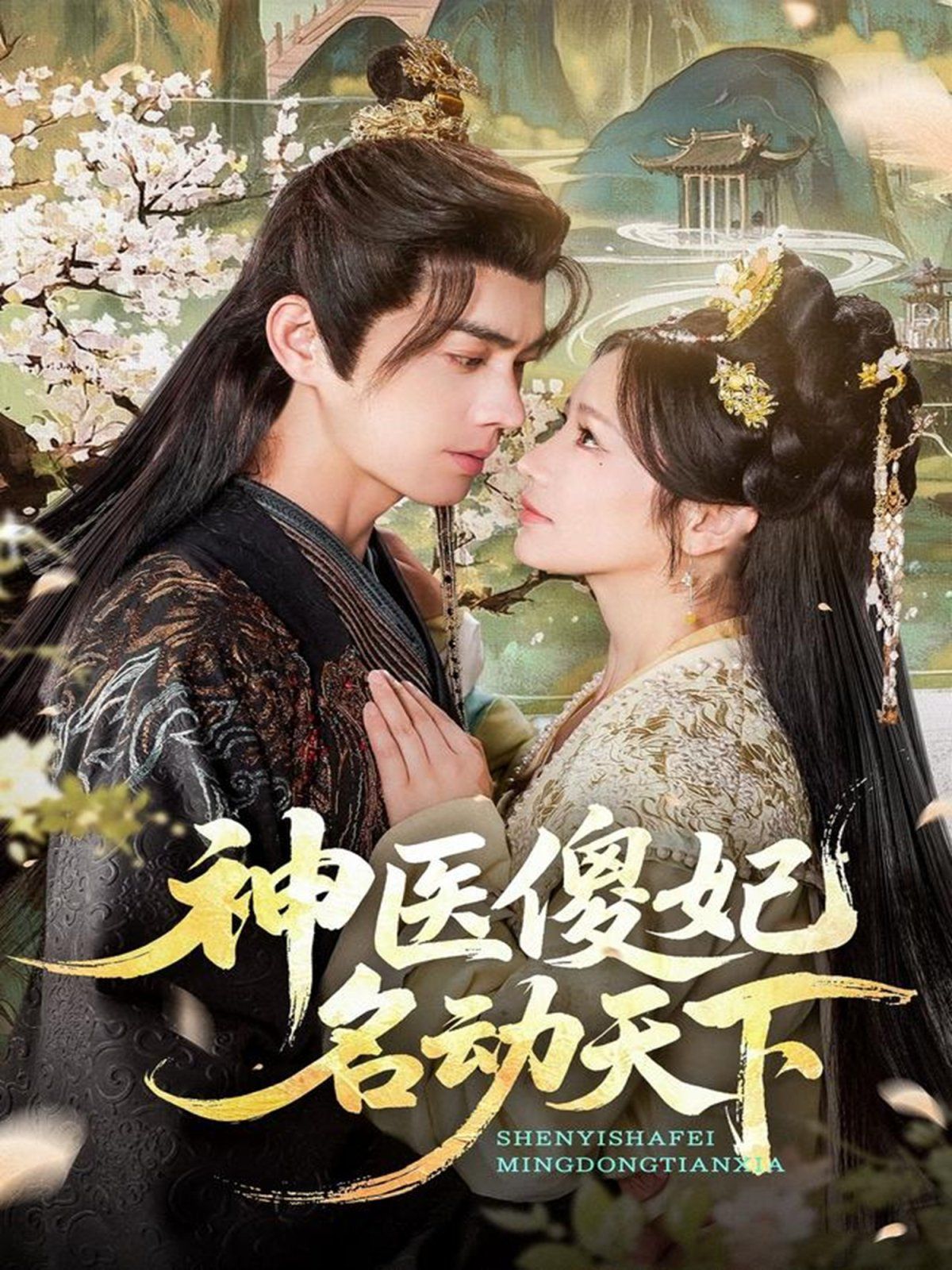 神医傻妃名动天下 全集完结(大结局)