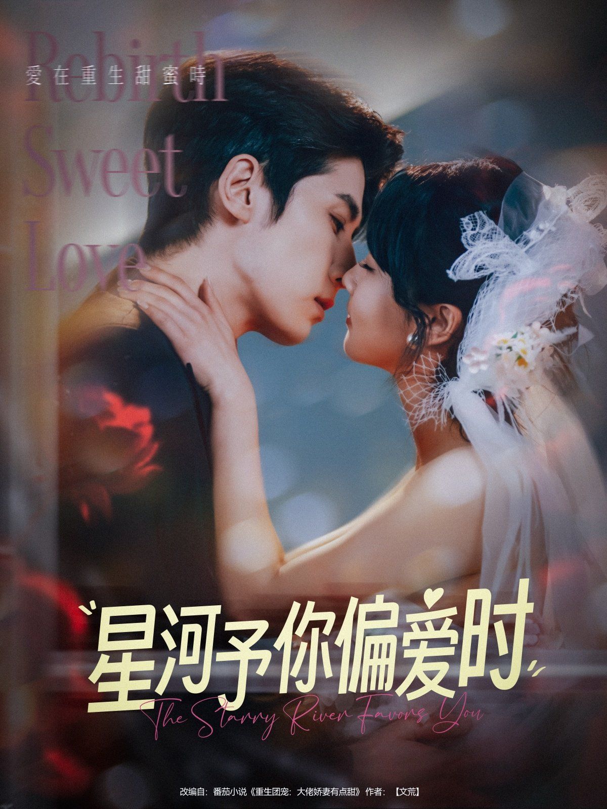 星河予你偏爱时 第61-79集完结(大结局)