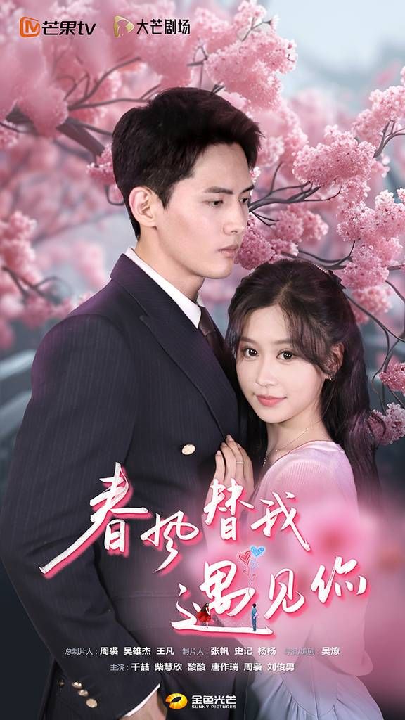 春风替我遇见你 第41-60集