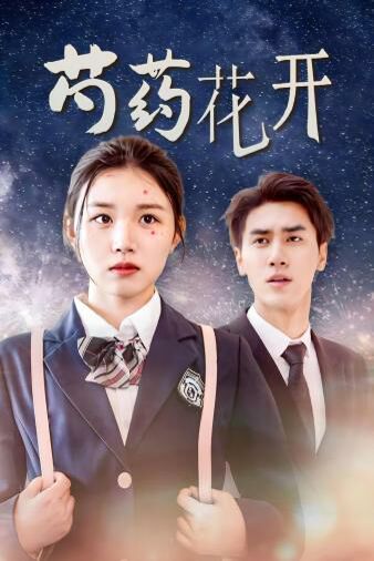 芍药花开（火光中的芍药花） 第21-40集