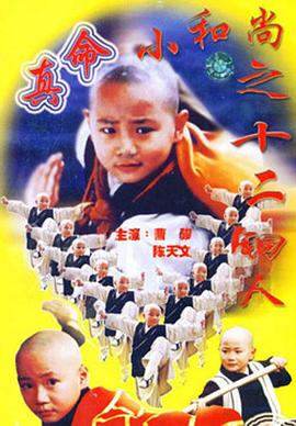 真命小和尚之十二铜人 第11集