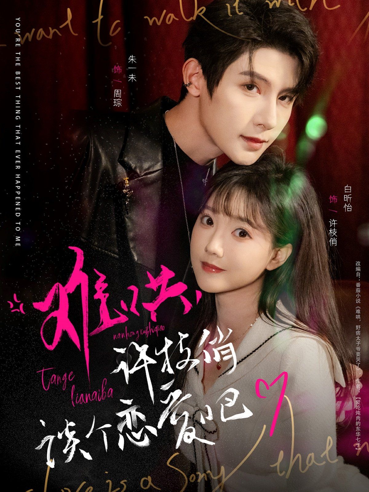 难哄许枝俏谈个恋爱吧 第81-100集完结(大结局)