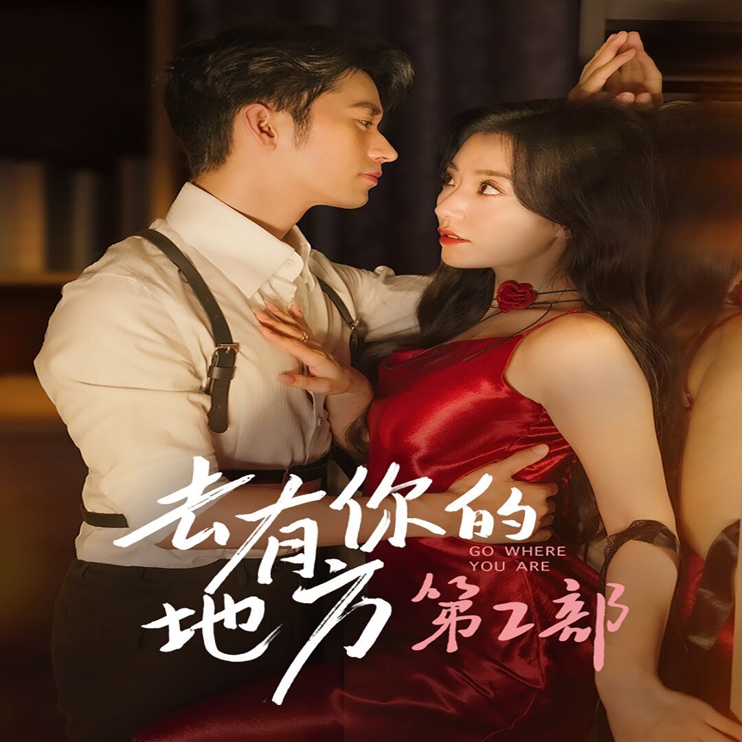 去有你的地方第2部 第41-60集