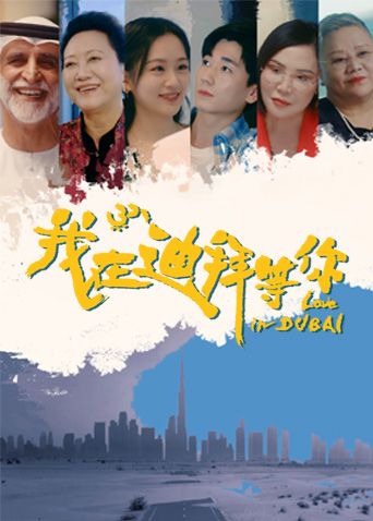 我在迪拜等你 第16集