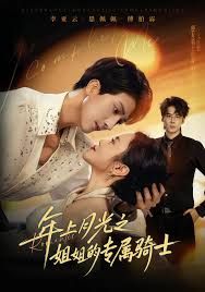 年上月光之姐姐的专属骑士 全集完结(大结局)