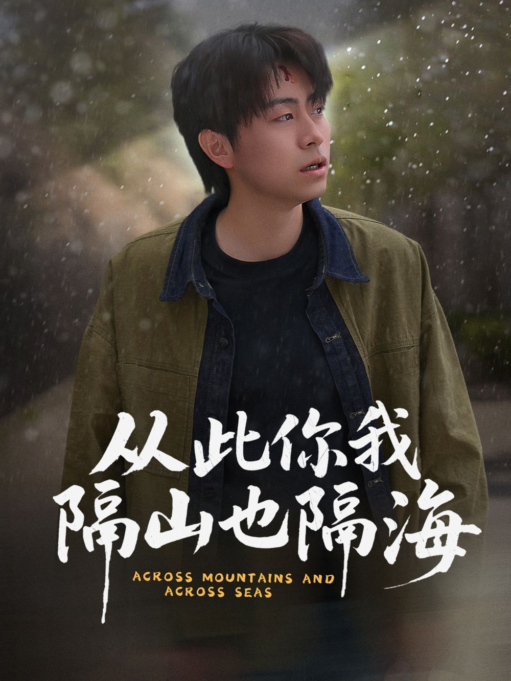 从此你我隔山也隔海 第21-40集