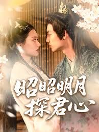 昭昭明月心 全集完结(大结局)