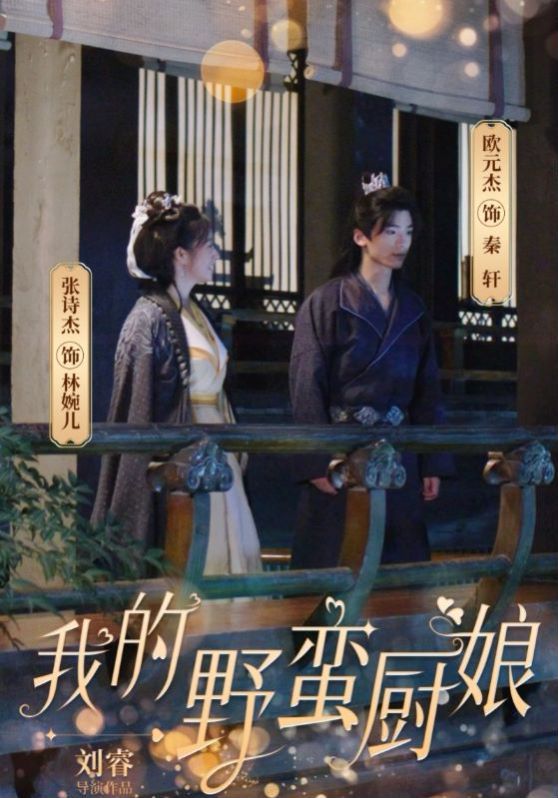 我的野蛮厨娘 第41-64集完结(大结局)