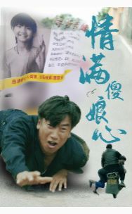 情满傻娘心 第21-40集