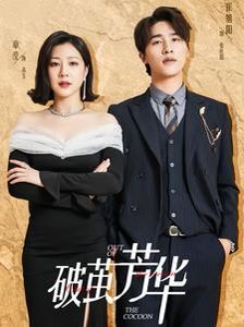 破茧芳华 第41-60集