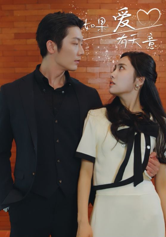 新如果爱有天意 第21-40集