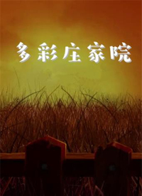 多彩庄家院 第26集