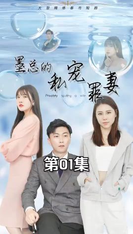 墨总的私宠罪妻 第21-40集