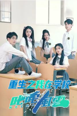 重生之我在学校叱咤风云 第41-60集