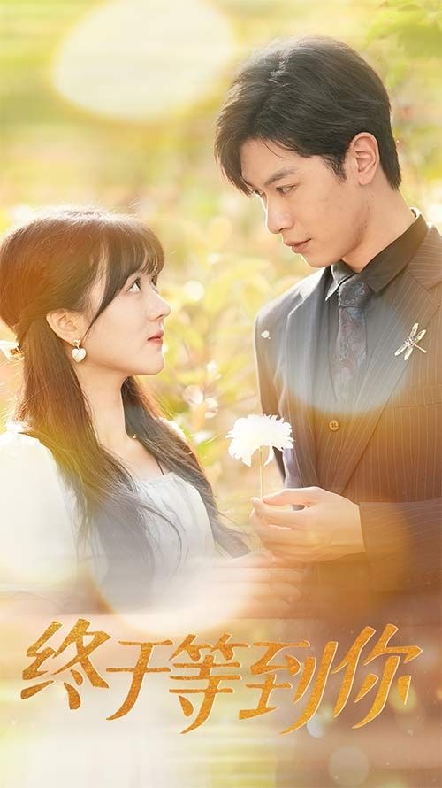 终于等到你（你是我的木槿年华） 第61-80集完结(大结局)