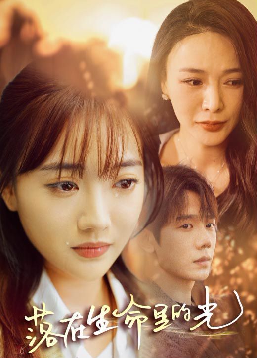 落在生命里的光 第61-78集完结(大结局)