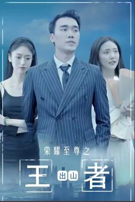 荣耀至尊之王者出山 第81-100集完结(大结局)