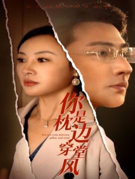 你是枕边穿堂风 第1-20集