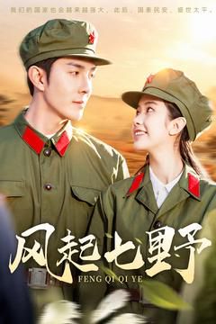 风起七野 第41-60集