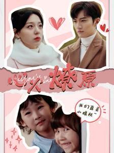 心火燎原（首席萌宝买一送一） 第61-82集完结(大结局)