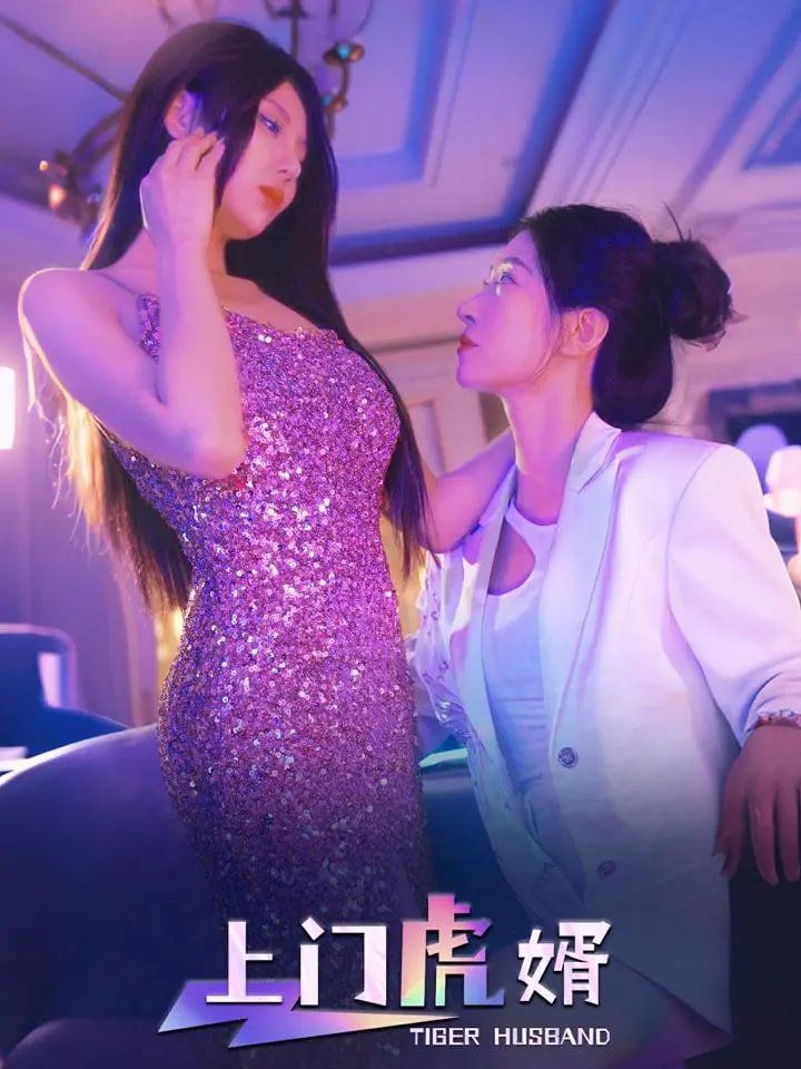 上门虎婿 第31-60集