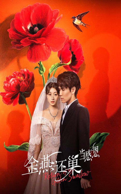 金燕还巢当感恩 全集(大结局)