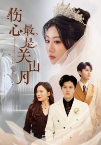 伤心最是关山月 第21-40集