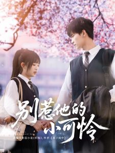 别惹他的小可怜 第31-60集