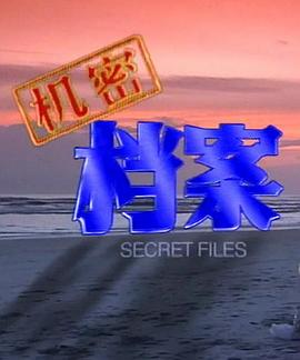 机密档案 第06集