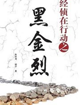 经侦在行动之黑金烈 第12集