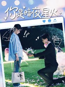 你是暗夜星火 第41-60集