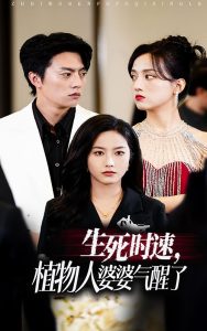 生死时速植物人婆婆气醒了 全集完结(大结局)