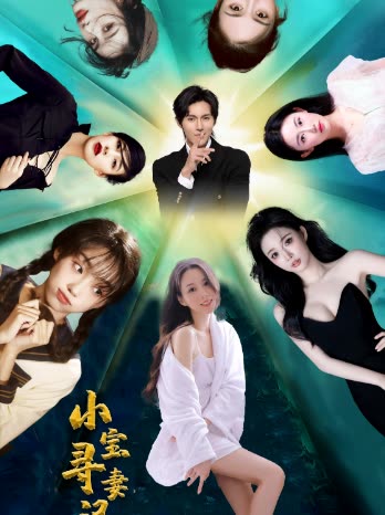 小宝寻妻记 全集(大结局)