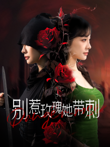 别惹玫瑰她带刺 第1-20集