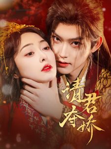 请君夺娇 第41-60集