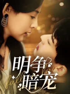 明争暗宠 第21-40集