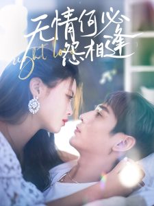 无情何必怨相逢 第1-30集