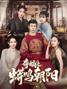 夺嫡之蟒鸣朝阳 第41-65集完结(大结局)