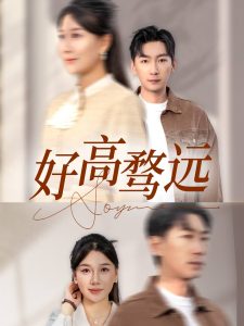 好高骛远 第31-50集完结(大结局)