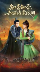 知否知否却道海棠依旧 第31-60集