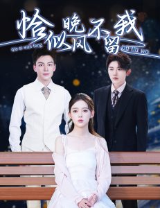 恰似晚风不留我＆弃他如风(全集)