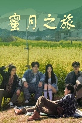 蜜月之旅 全集完结(大结局)