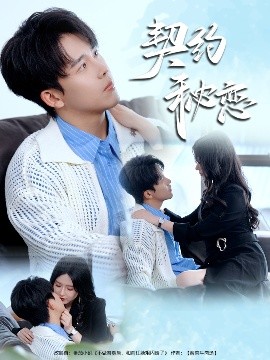 契约秘恋 全集完结(大结局)