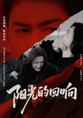 阳光的回响 全集(大结局)