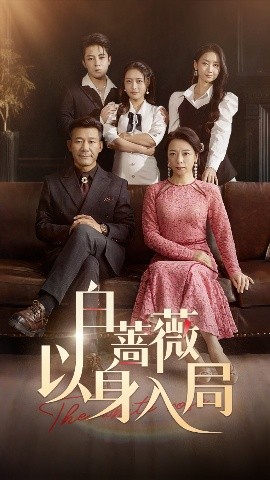 白蔷薇以身入局 全集完结(大结局)