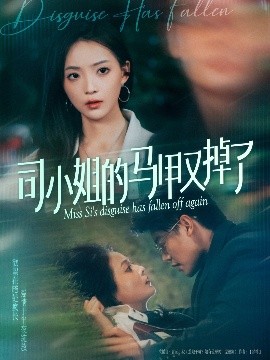司小姐的马甲又掉了 全集完结(大结局)