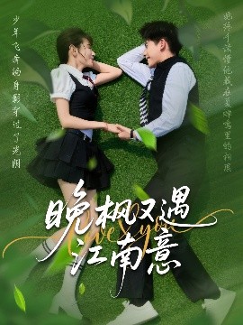 晚枫又遇江南意 全集完结(大结局)